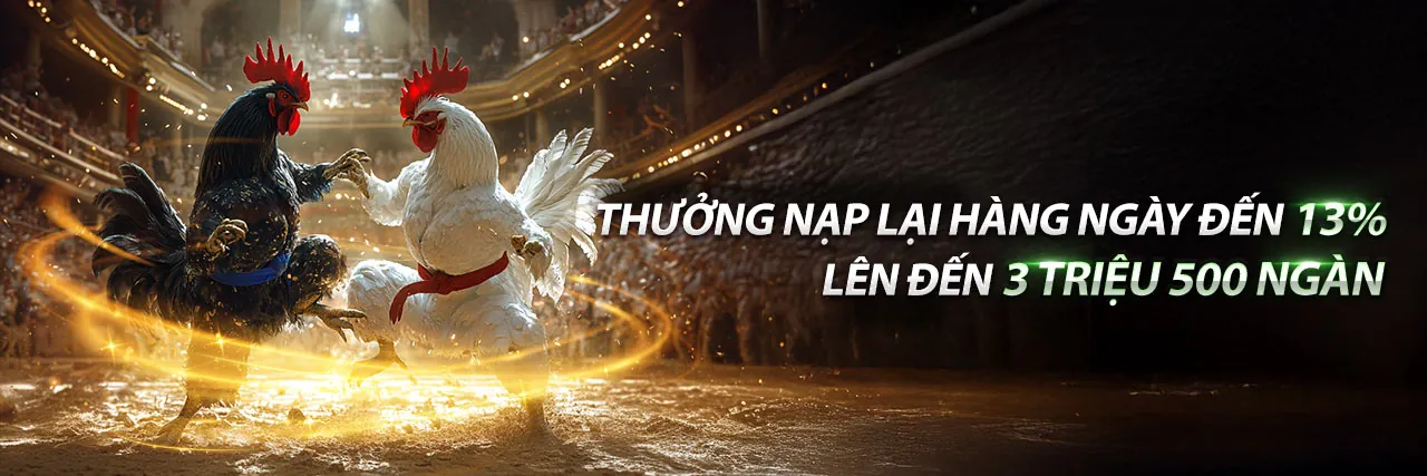 Đấu gà kịch tính tại Kubet
